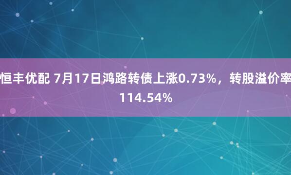 恒丰优配 7月17日鸿路转债上涨0.73%，转股溢价率114.54%